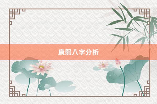 康熙八字分析